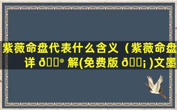 紫薇命盘代表什么含义（紫薇命盘详 💮 解(免费版 🐡 )文墨天机）